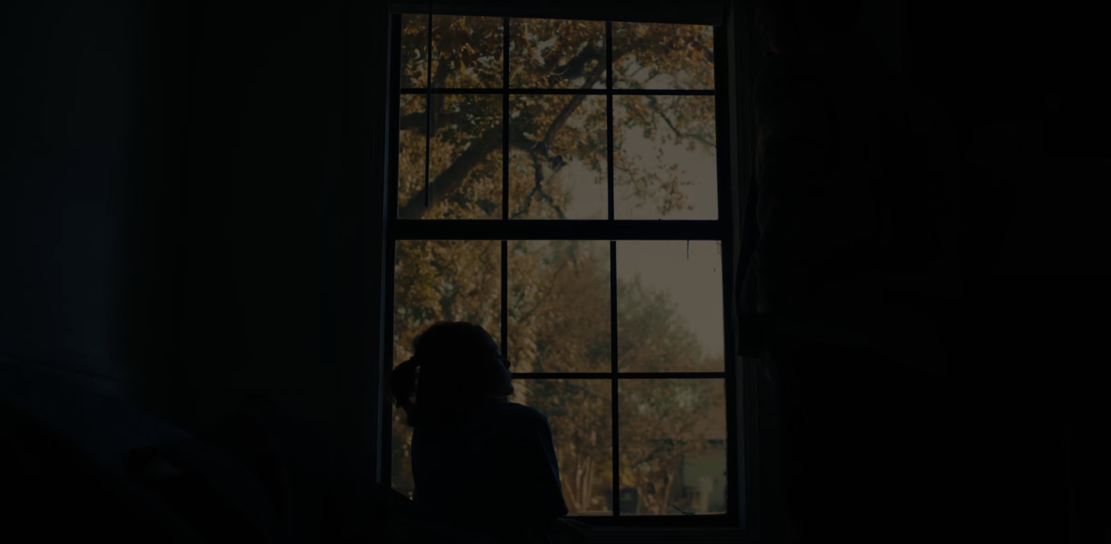 Hide